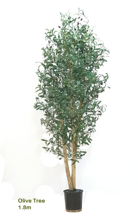 Articial Plants - Olive Tree 1.8m