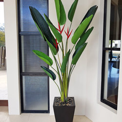 Heliconia Palms- Flowering 1.8m with 3 flowers - artificial plants, flowers & trees - image 1