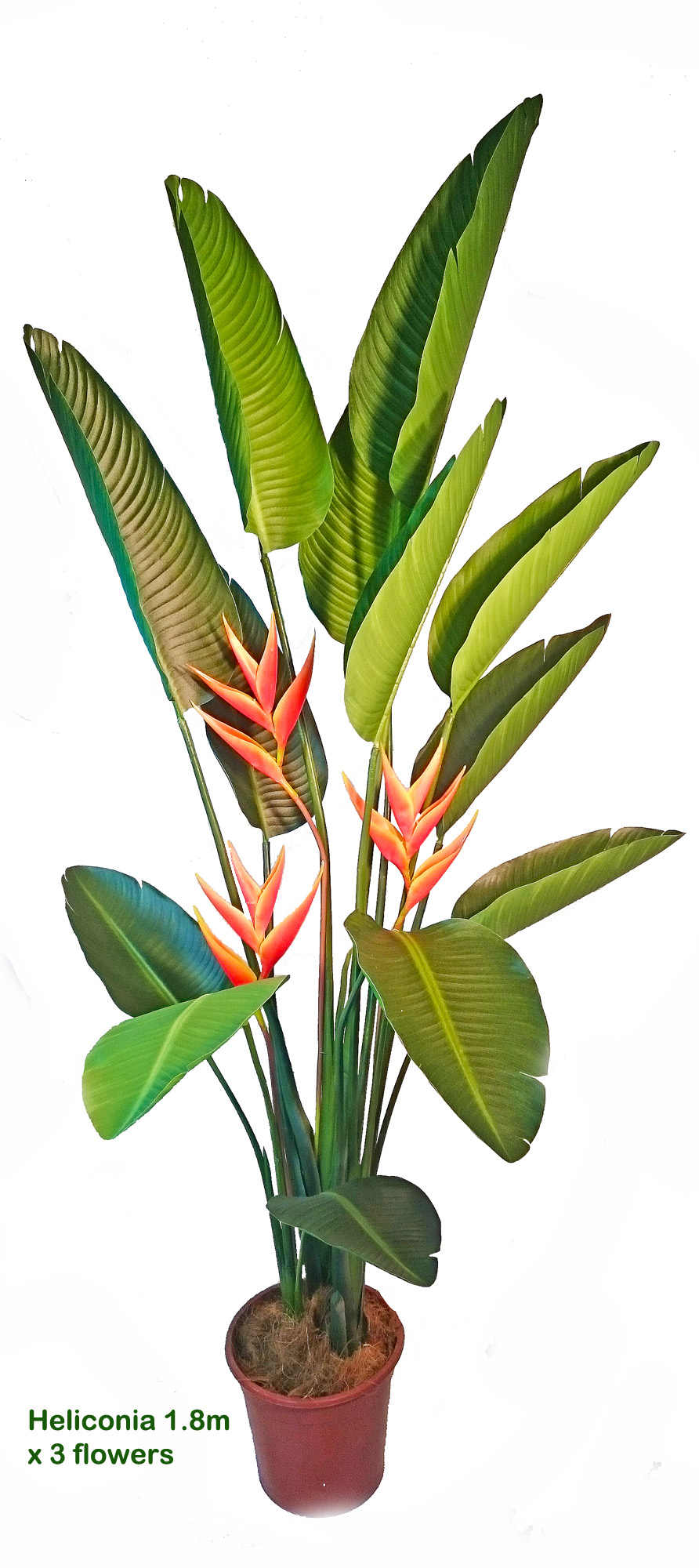 Artificial Heliconia Palms- Flowering 1.6m with 2 flowers