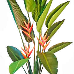 Heliconia Palms- Flowering 1.6m with 2 flowers - artificial plants, flowers & trees - image 2