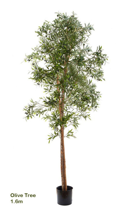 Articial Plants - Olive Tree 1.6m