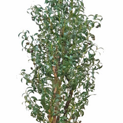 Olive Topiary 1.2m - artificial plants, flowers & trees - image 9