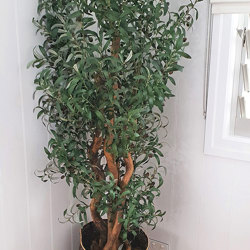 Olive Tree 1.8m - artificial plants, flowers & trees - image 3
