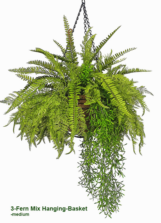Articial Plants - Hanging Baskets- 3-Fern Mix