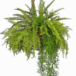 Hanging Baskets- 3-Fern Mix - artificial plants, flowers & trees - image 1