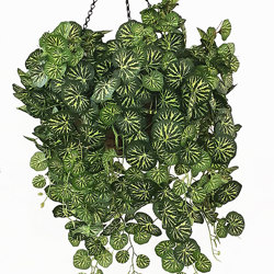 Hanging Baskets- Saxifragia {med} - artificial plants, flowers & trees - image 2