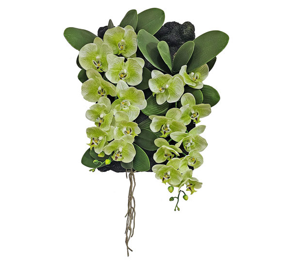 Orchid Wall-Plaque green flowers
