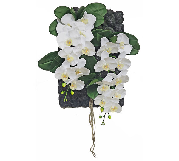 Orchid Wall-Plaque white flowers