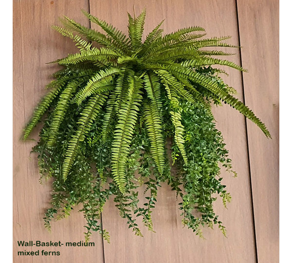 Wall-Baskets Mixed Ferns- med