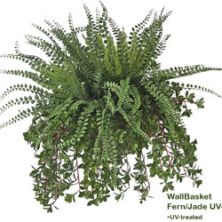 Wall-Baskets Fern/Jade- medium - artificial plants, flowers & trees - image 1