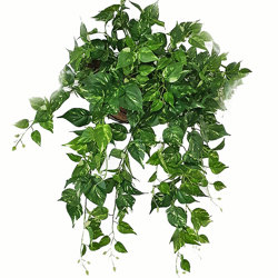 Wall-Baskets Pothos- sml - artificial plants, flowers & trees - image 1