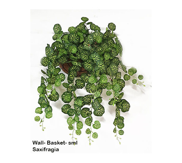 Wall-Baskets Saxifragia- sml