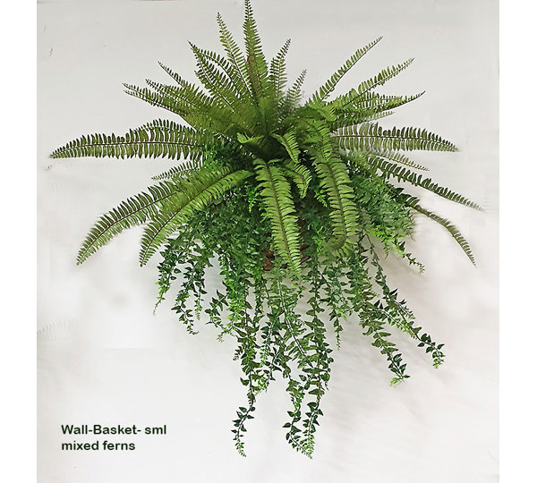 Wall-Baskets Mixed Ferns-sml
