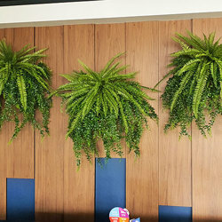 Wall-Baskets Mixed Ferns- med - artificial plants, flowers & trees - image 1