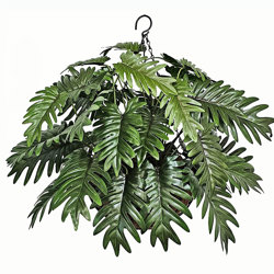 Hanging Baskets- Xanadus (medium] - artificial plants, flowers & trees - image 10