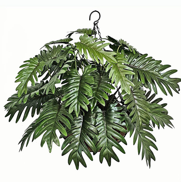 Articial Plants - Hanging Baskets- Xanadus (medium]