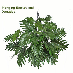 Hanging Baskets- Xanadus (medium] - artificial plants, flowers & trees - image 9