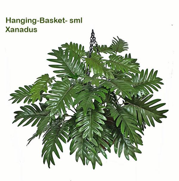 Articial Plants - Hanging Baskets- Xanadus (small)