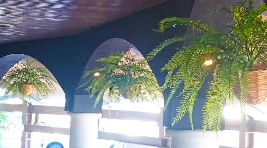 Hanging Baskets- Artificial Ferns (large)