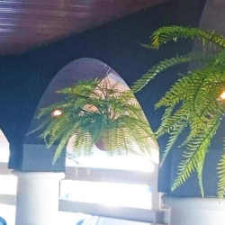 Hanging Baskets- Artificial Ferns (large) - artificial plants, flowers & trees - image 1