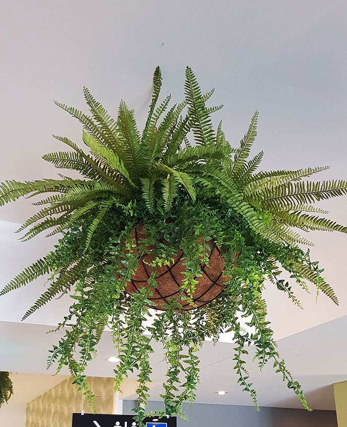 Artificial Hanging Plants / Wall Baskets