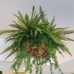 Hanging Baskets- Artificial Ferns (large) - artificial plants, flowers & trees - image 3