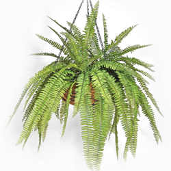 Hanging Baskets- Artificial Ferns (large) - artificial plants, flowers & trees - image 9