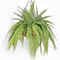 Hanging Baskets- Artificial Ferns (large) - artificial plants, flowers & trees - image 8