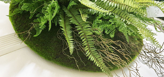 Wall-Baskets Mixed Ferns-sml