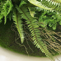 Wall-Baskets Mixed Ferns-sml - artificial plants, flowers & trees - image 4