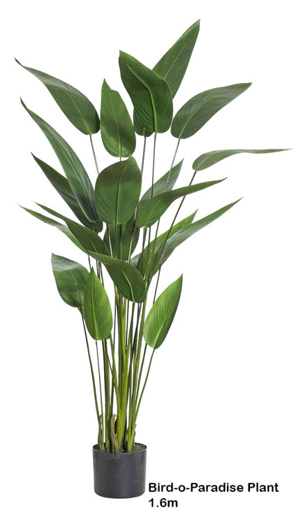 Articial Plants - Artificial Bird of Paradise Plant 1.6m
