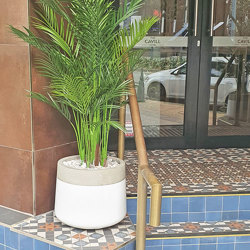 Alexander Palm 1.2m UV-treated - artificial plants, flowers & trees - image 1