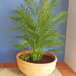 Alexander Palm 1.4m UV-treated - artificial plants, flowers & trees - image 3