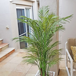 Alexander Palm 2.4m UV-treated - artificial plants, flowers & trees - image 3