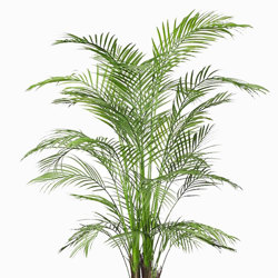 Alexander Palm 1.4m UV-treated - artificial plants, flowers & trees - image 8
