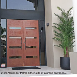 Alexander Palm 2.4m UV-treated - artificial plants, flowers & trees - image 2