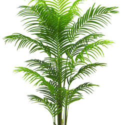 Areca Palm 2.1m - artificial plants, flowers & trees - image 4