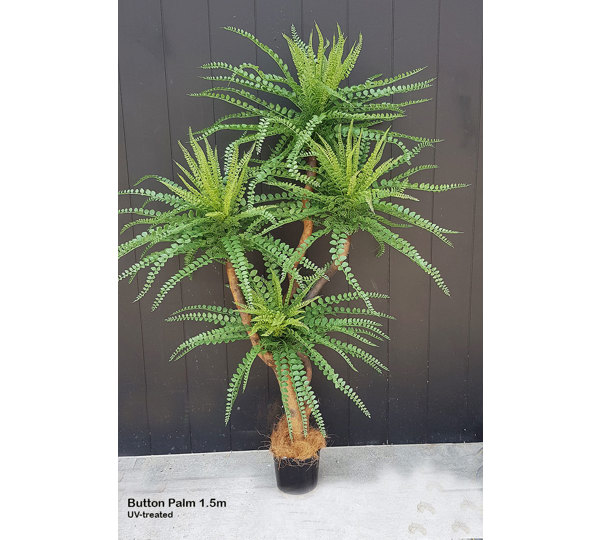 Button Palm 1.5m x 4 heads