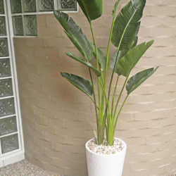 Heliconia Palms- 1.5m - artificial plants, flowers & trees - image 4
