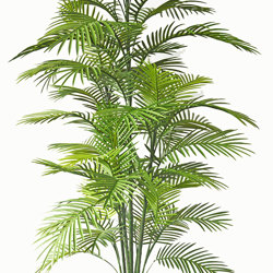 Cane Palm 1.75m-UV stable - artificial plants, flowers & trees - image 9