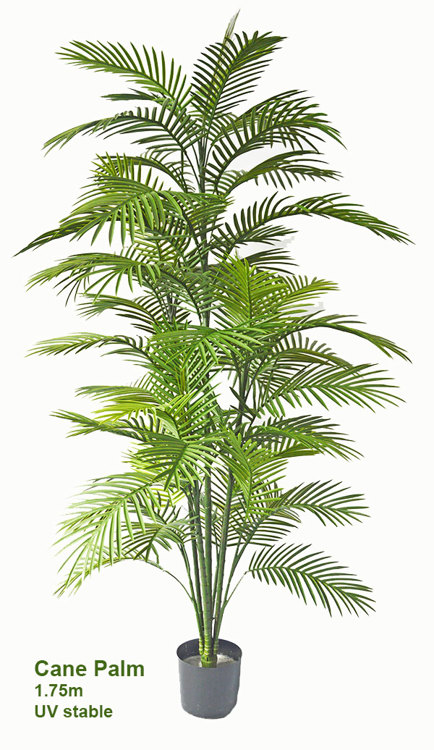 Articial Plants - Cane Palm 1.8m deluxe   UV-stable