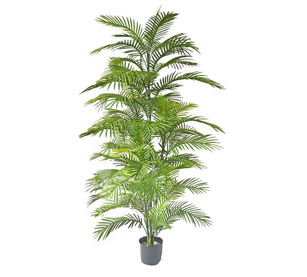 Cane Palm 1.8m deluxe* UV-stable *extra bushy