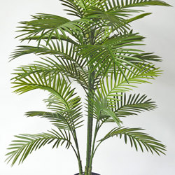 Cane Palm 1.5m delux UV stable - artificial plants, flowers & trees - image 8