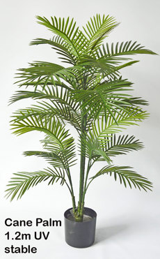 Cane Palm 1.2m UV stable