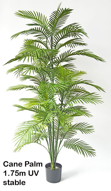 Articial Plants - Cane Palm 1.5m delux UV stable