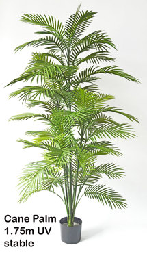 Cane Palm 1.8m deluxe   UV-stable