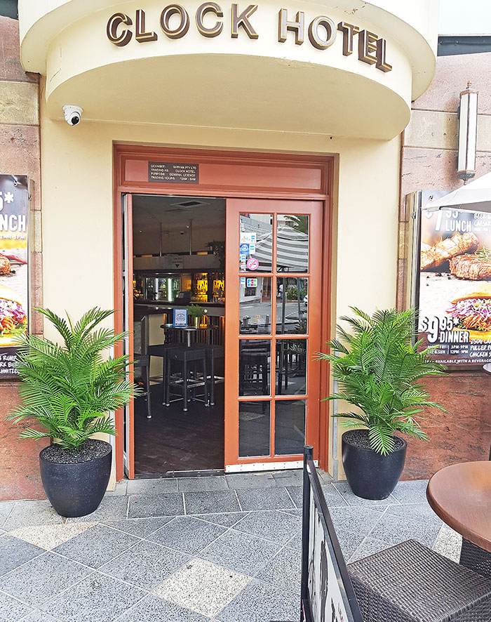 Cane Palm 1.75m-UV stable