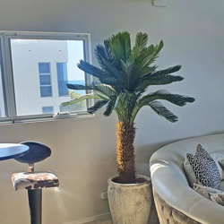 Cycad Palm 2m - artificial plants, flowers & trees - image 6
