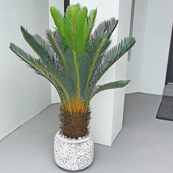 Cycad Palm 1.1m - artificial plants, flowers & trees - image 3
