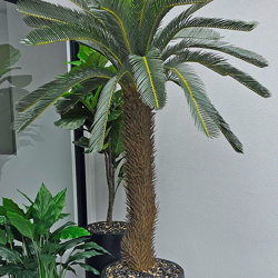 Cycad Palm 2m - artificial plants, flowers & trees - image 9